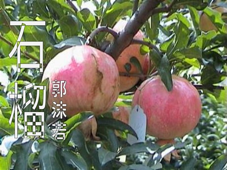 《石榴》PPT课件6