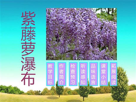 《紫藤萝瀑布》PPT课件4