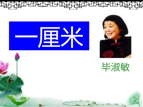 《一厘米》PPT课件2