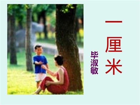 《一厘米》PPT课件4