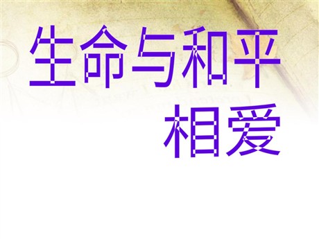 《生命与和平相爱》PPT课件2