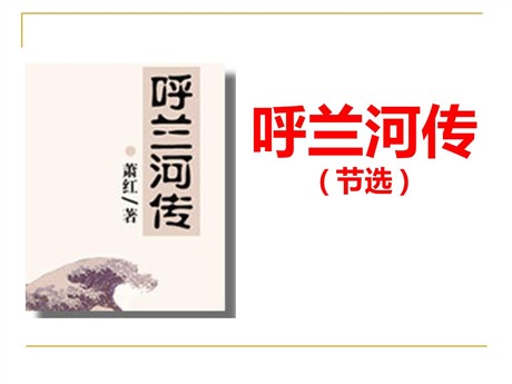 《呼兰河传》PPT课件3