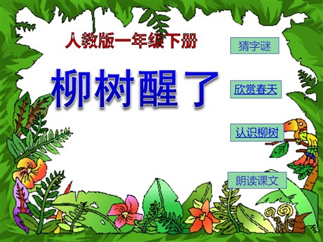 《柳树醒了》PPT课件7