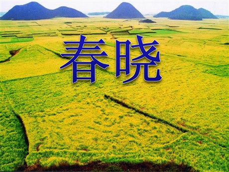 《春晓》PPT课件3