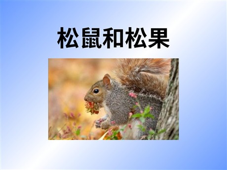 《松鼠和松果》PPT课件5
