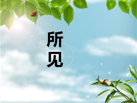 《所见》PPT课件4
