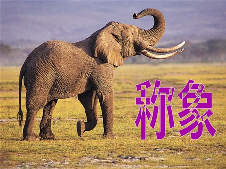 《称象》PPT课件3