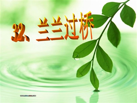 《兰兰过桥》PPT课件4