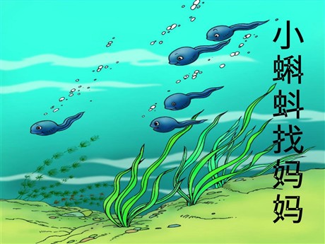 《小蝌蚪找妈妈》PPT课件2