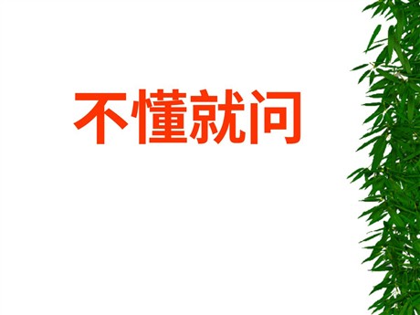 《不懂就问》PPT课件3