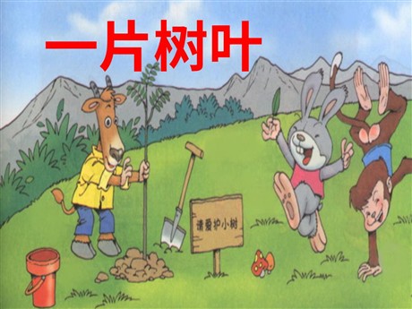 《一片树叶》PPT课件4