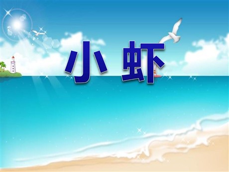 《小虾》PPT课件3
