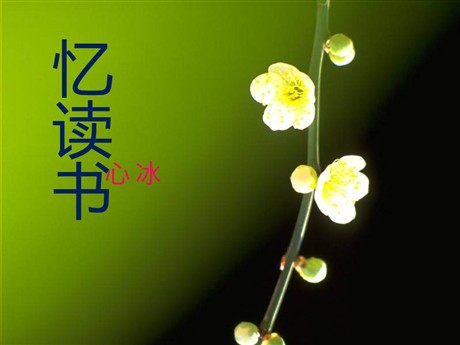 《忆读书》PPT课件5