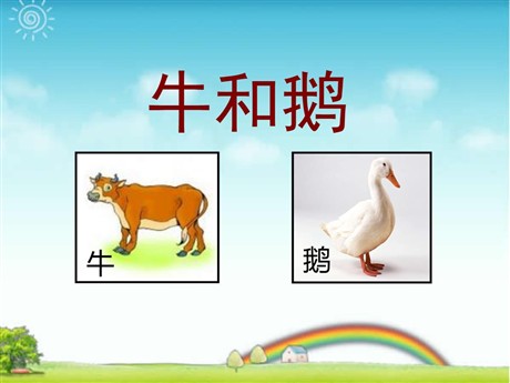 《牛和鹅》PPT课件5