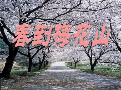 《春到梅花山》PPT课件3