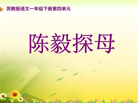 《陈毅探母》PPT课件4