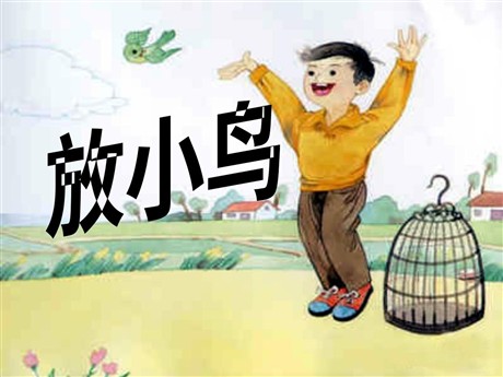 《放小鸟》PPT课件2