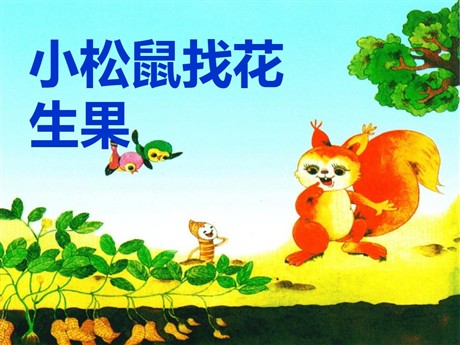 《小松鼠找花生果》PPT课件5
