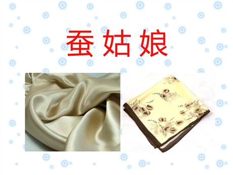 《蚕姑娘》PPT课件4