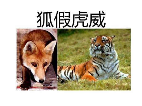 《狐假虎威》PPT课件3