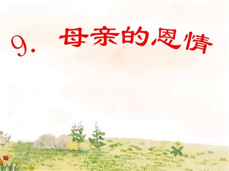 《母亲的恩情》PPT课件5