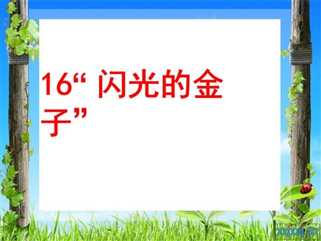 《闪光的金子》PPT课件5
