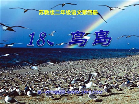 《鸟岛》PPT课件4