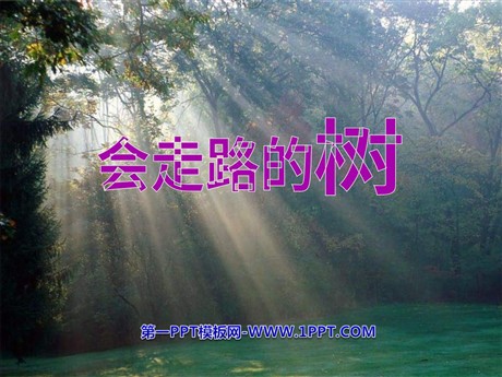 《会走路的树》PPT课件3