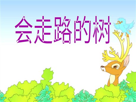 《会走路的树》PPT课件4