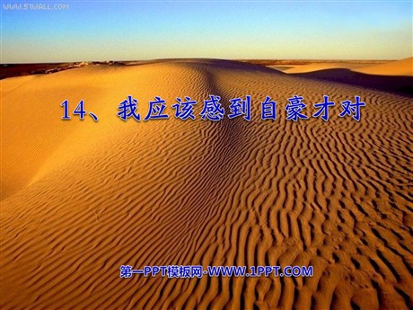 《我应该感到自豪才对》PPT课件5