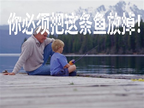《你必须把这条鱼放掉》PPT课件3