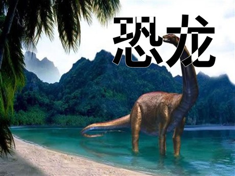 《恐龙》PPT课件5