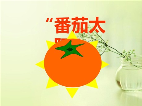 《番茄太阳》PPT课件3