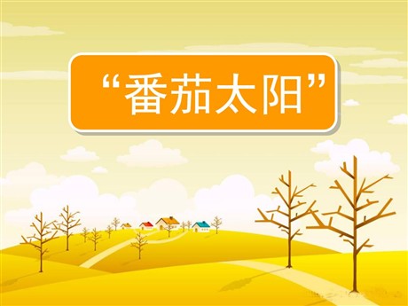 《番茄太阳》PPT课件4