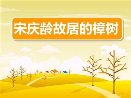《宋庆龄故居的樟树》PPT课件3