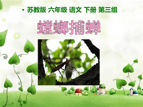 《螳螂捕蝉》PPT课件4