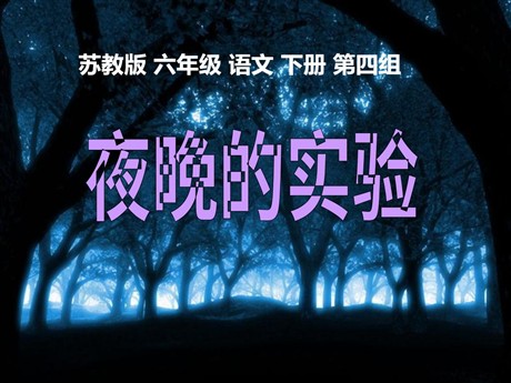 《夜晚的实验》PPT课件5