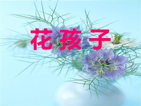 《花孩子》PPT课件2