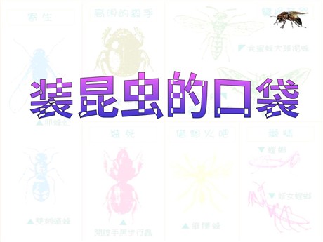《装昆虫的口袋》PPT课件3