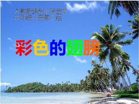 《彩色的翅膀》PPT课件下载3