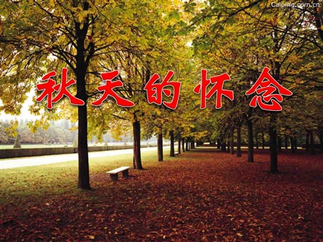《秋天的怀念》PPT课件3