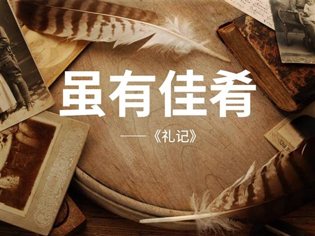 《虽有嘉肴》PPT课件3