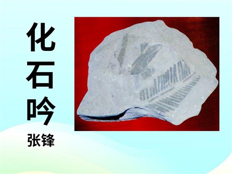 《化石吟》PPT课件4