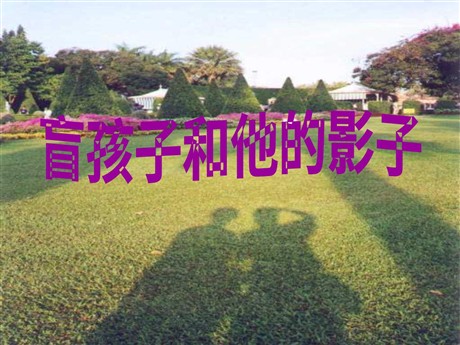 《盲孩子和他的影子》PPT课件5