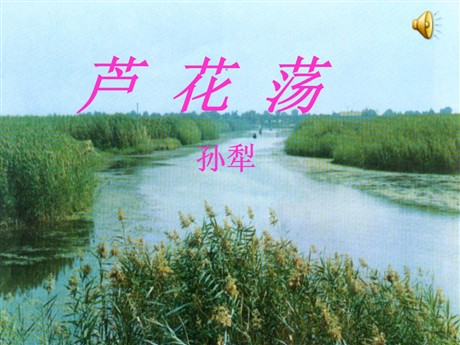 《芦花荡》PPT课件3