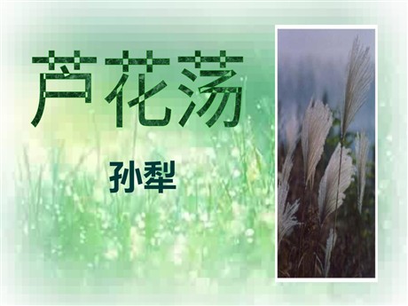 《芦花荡》PPT课件4