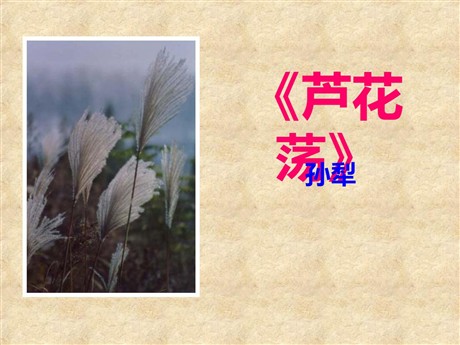 《芦花荡》PPT课件6
