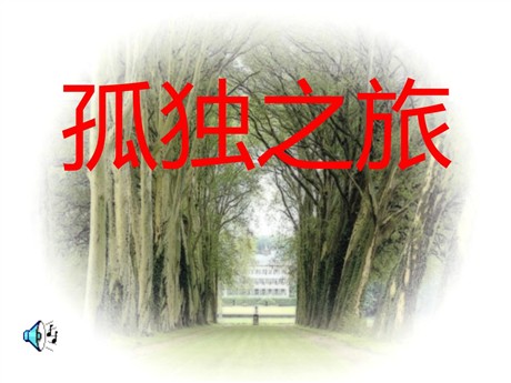 《孤独之旅》PPT课件5