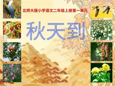 《秋天到》PPT课件3