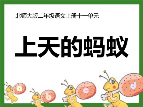 《上天的蚂蚁》PPT课件4